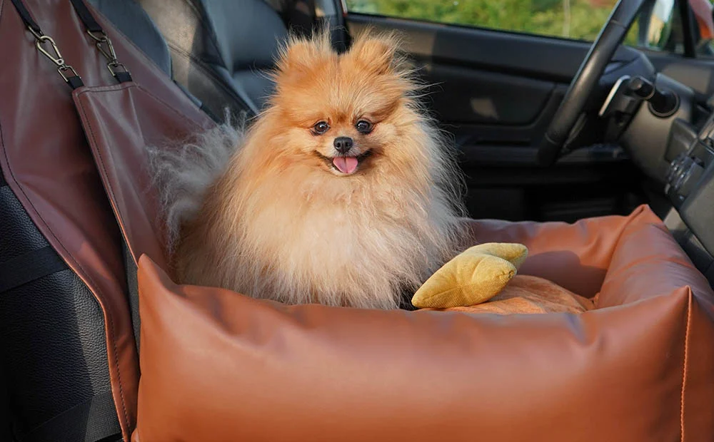 Mercedes-Benz GLC Dog Car Seat for Lowchen