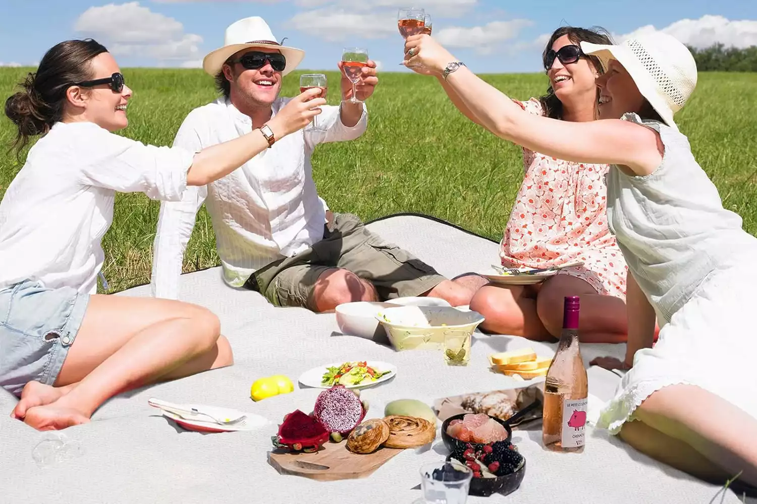 fancy picnic blanket