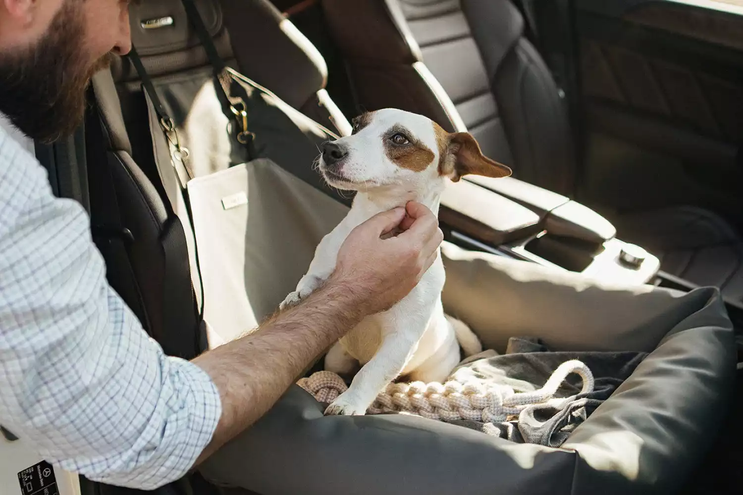 Volkswagen Jetta Dog Car Seat for Bull Terriers