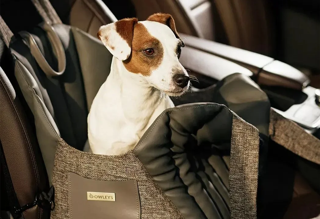 Buick Enclave Dog Carrier Car Seat for Jagdterrier