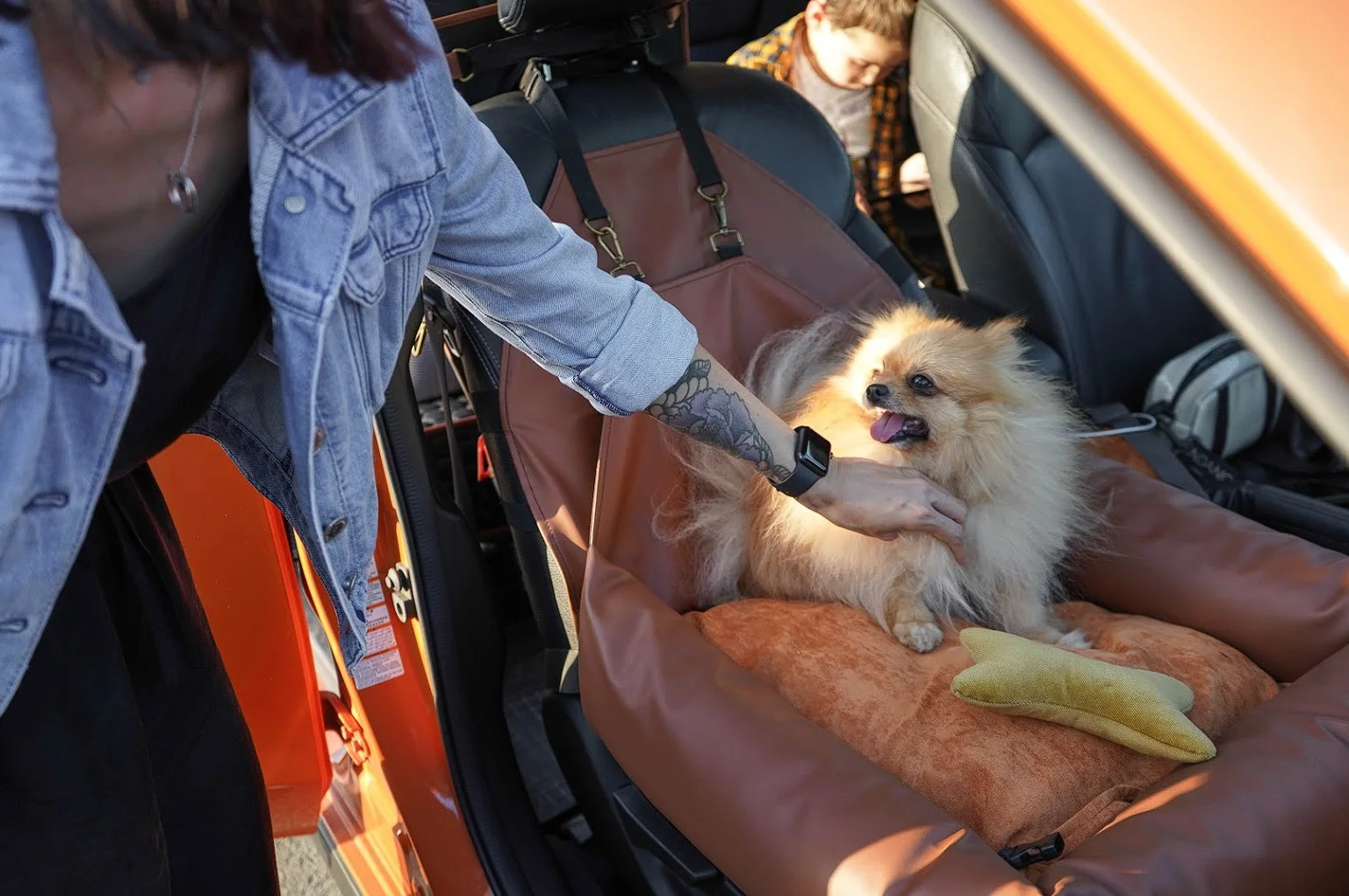 Chrysler Pacifica Dog Car Seat for Basenjis